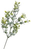 Frosted boxwood branch 36cm (GL03515)
