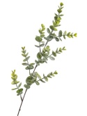 Frosted boxwood branch 55cm (GL03517)