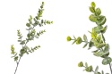 Frosted boxwood branch 55cm (GL03517)