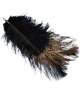 Kpl. 12 piórek strusich czarno złotych dł.15-20cm (268624)-20%