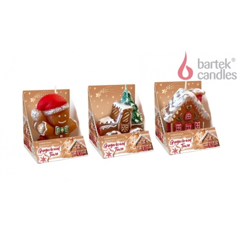 Gingerbread House Scented Candle (B)