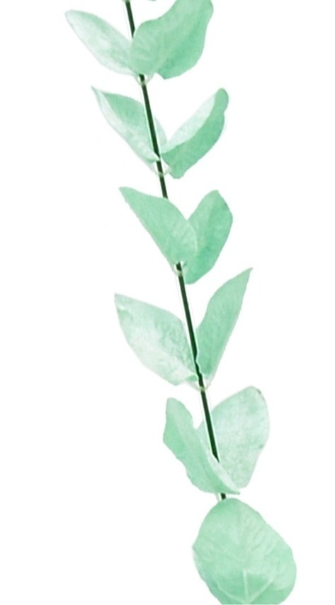 Single branch long 115cm "mint leaves" (GI03029)