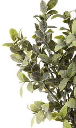 Set of 3 green blueberry branches (OZB07271)